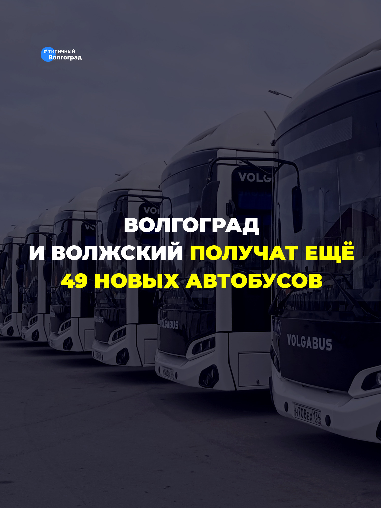 Волгоград и Волжский получат ещё 49 новых автобусов в этом году! 👏🤩