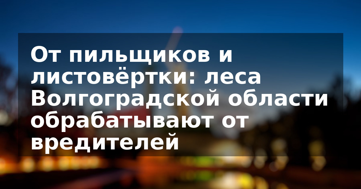 От пильщиков и листовёртки: леса Волгоградской области обрабатывают от вредителей