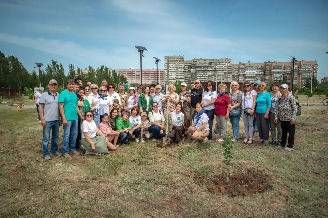Волжане высадили Аллею поддержки участников СВО 🌳