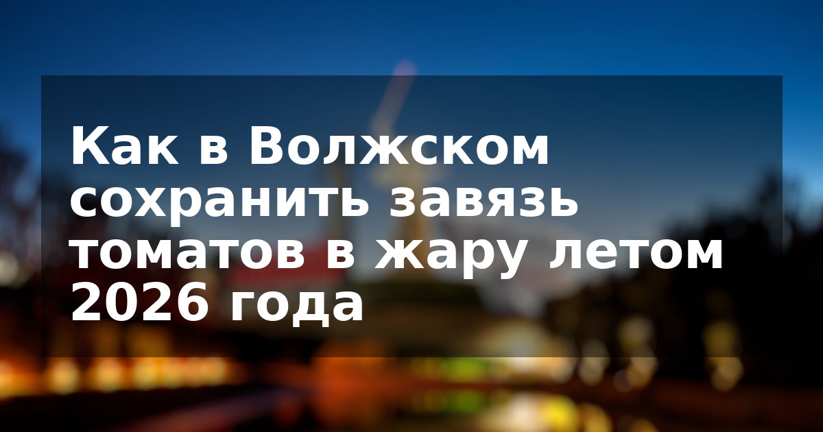 Как в Волжском сохранить завязь томатов в жару летом 2026 года