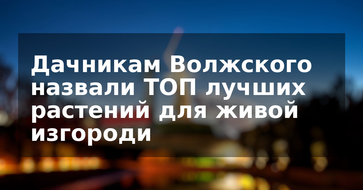 Дачникам Волжского назвали ТОП лучших растений для живой изгороди