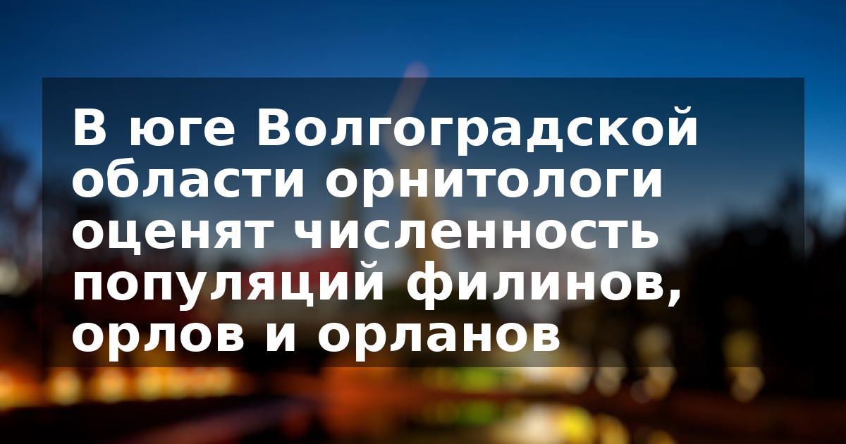 В юге Волгоградской области орнитологи оценят численность популяций филинов, орлов и орланов