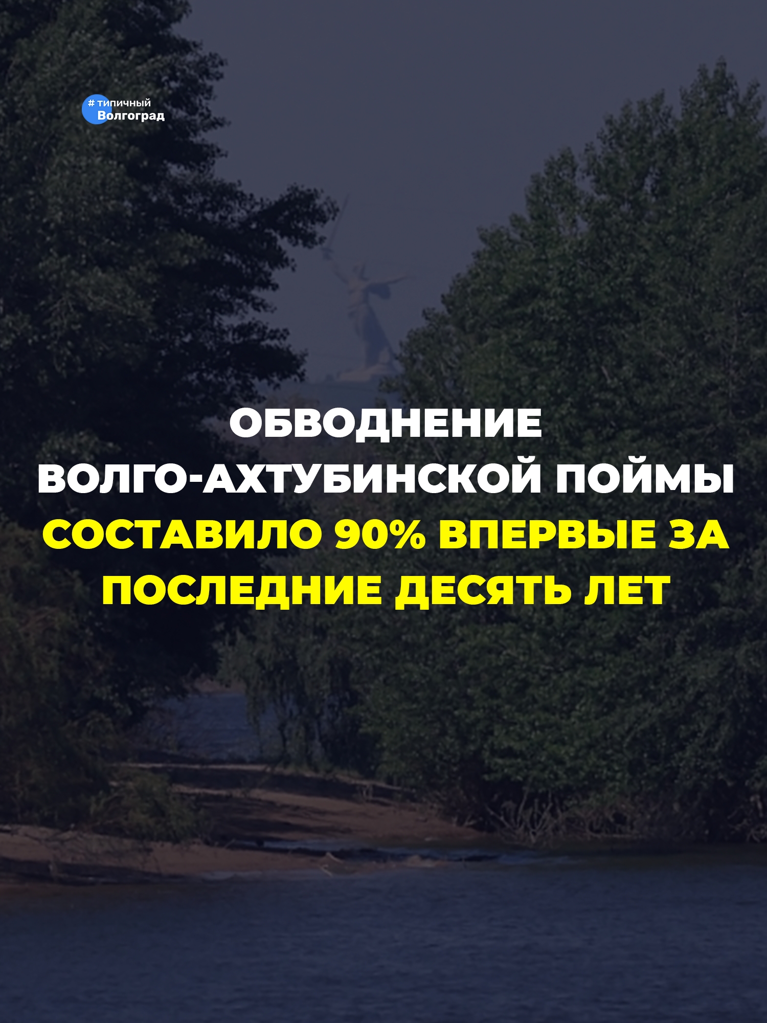 Впервые за последние десять лет обводнение Волго-Ахтубинской поймы составило 90%! 👏😊
