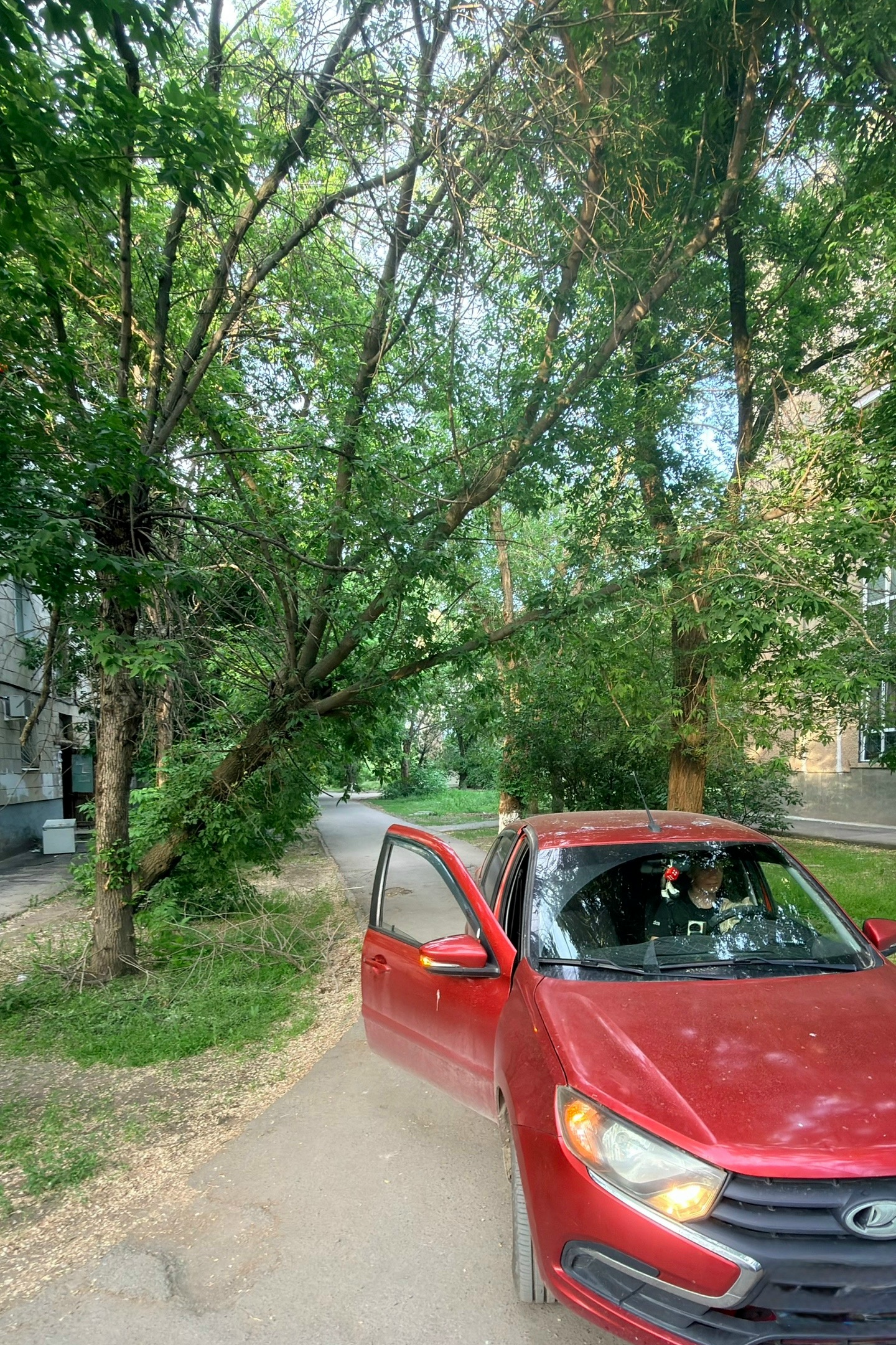 По адресу Карбышева, 60 уже длительное время дерево находится в аварийном состоянии и может упасть. Это создаёт опасность для прохожих и авт…