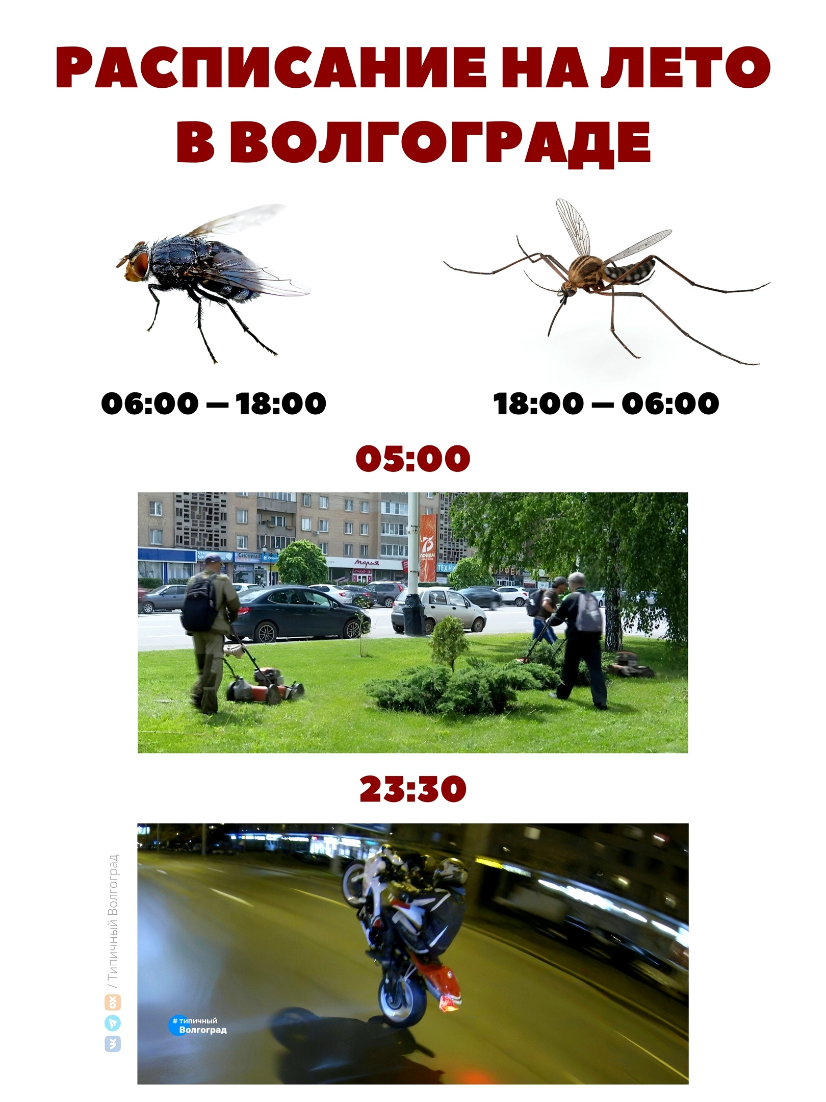 С первым днём лета! ☀