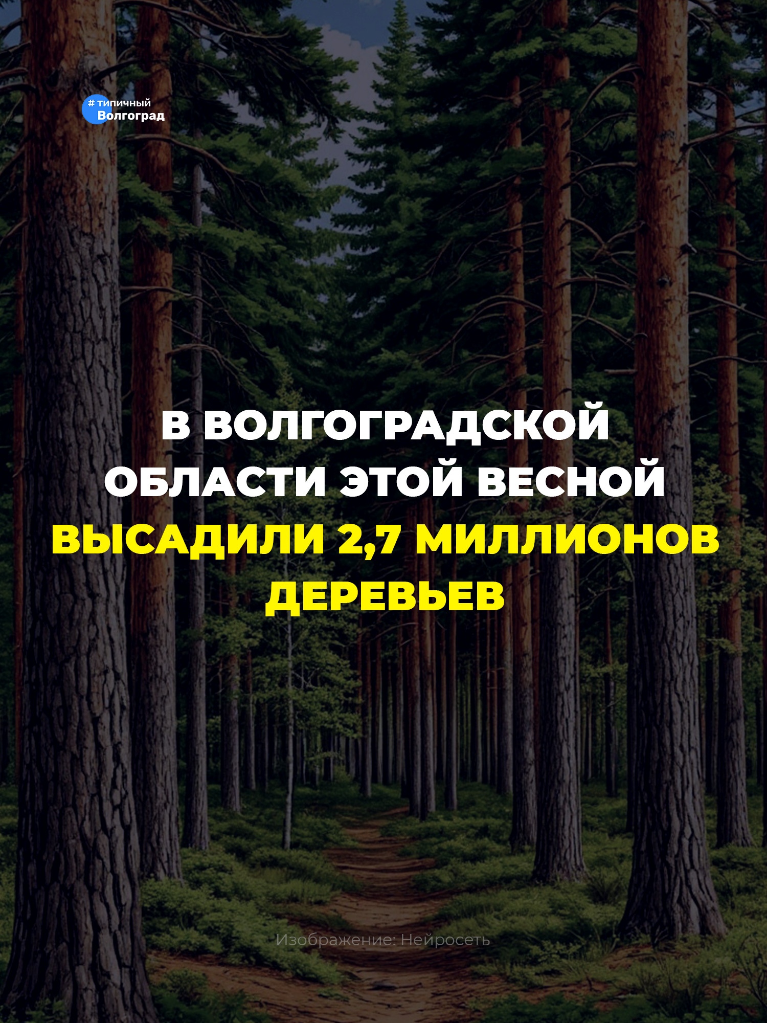 В Волгоградской области этой весной посадили более 2,7 миллионов деревьев! 👏🤩