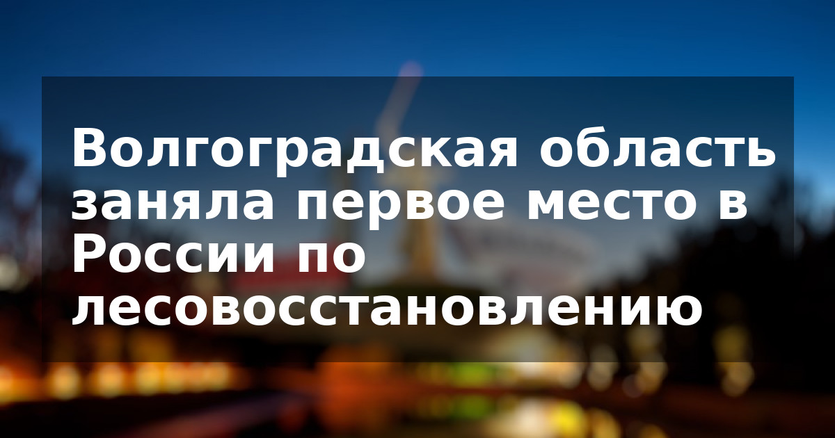 Волгоградская область заняла первое место в России по лесовосстановлению