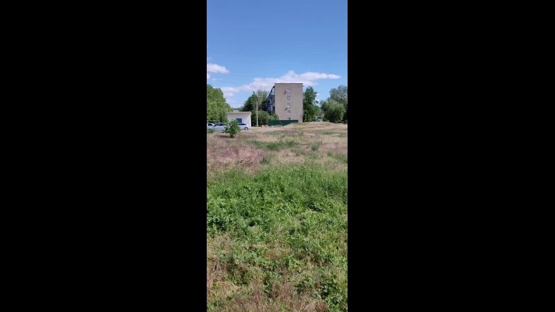 Здравствуйте, пожалуйста анонимно! В 12 мкр, во дворе, трава уже выше пояса, бОльшая часть сухая, косить её никто не собирается, сегодня кто…