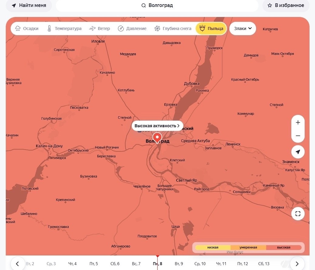 🤧 Волгоградская область остается во власти пыльцы злаков