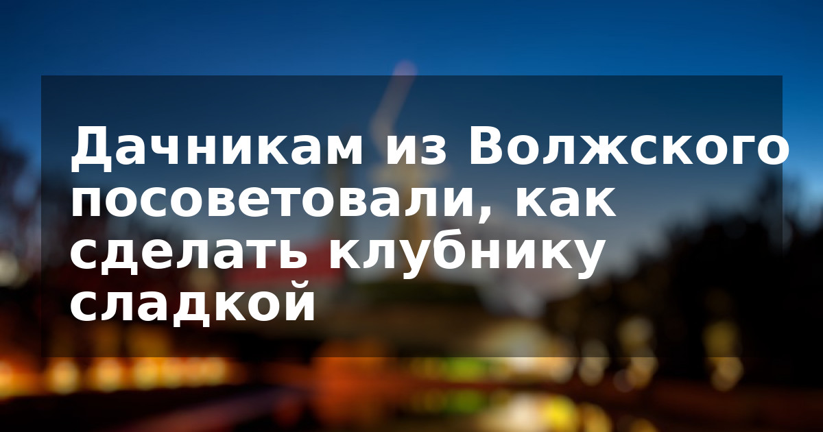 Дачникам из Волжского посоветовали, как сделать клубнику сладкой