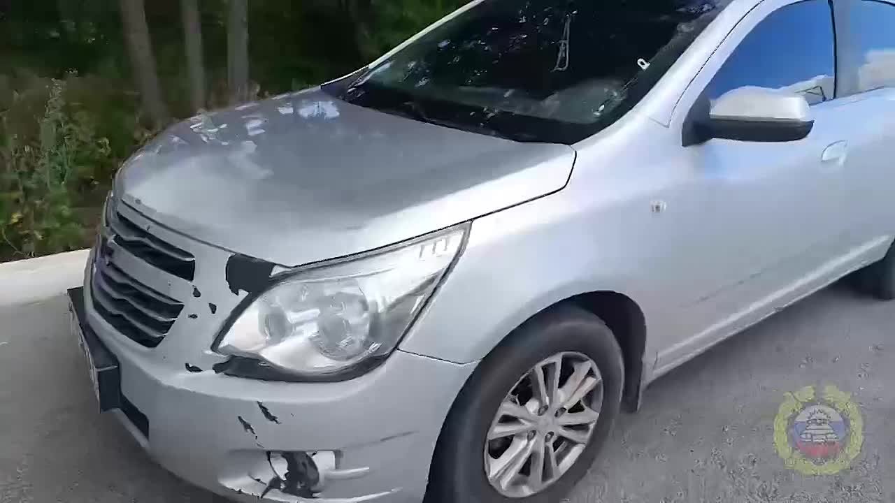 🚔 Задержали за тонировку, оказался нелегал