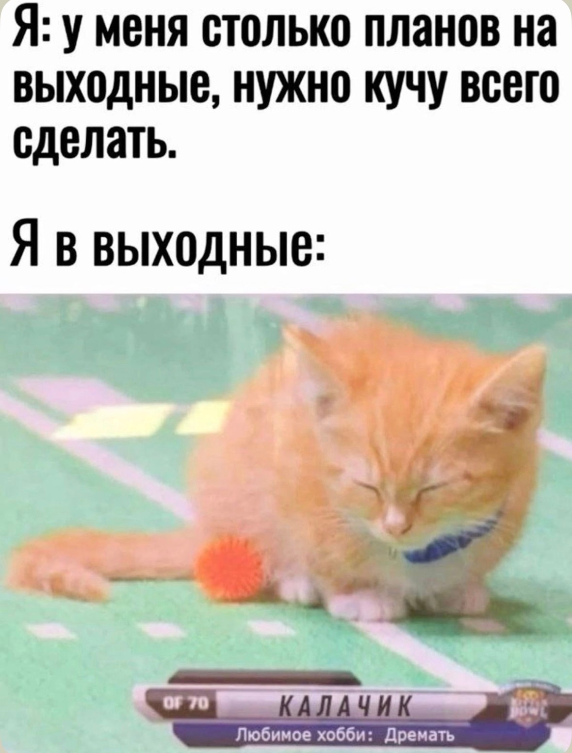 На этой неделе мало работаем и много отдыхаем 😎