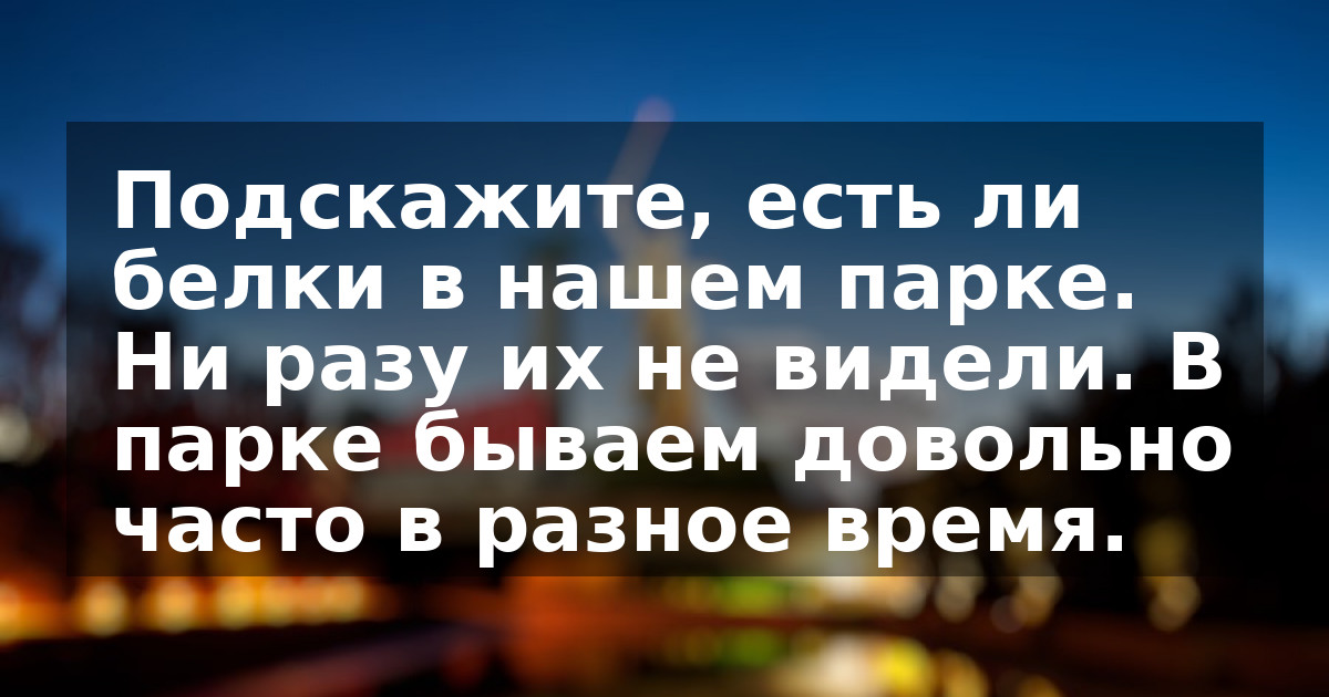 Подскажите, есть ли белки в нашем парке. Ни разу их не видели. В парке бываем довольно часто в разное время.
