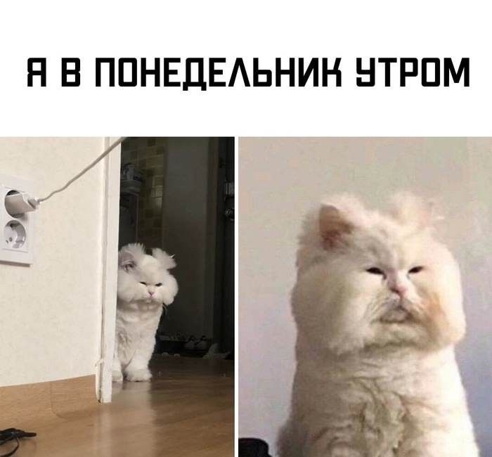 После длинных выходных идти на работу в понедельник трудно 🫠
