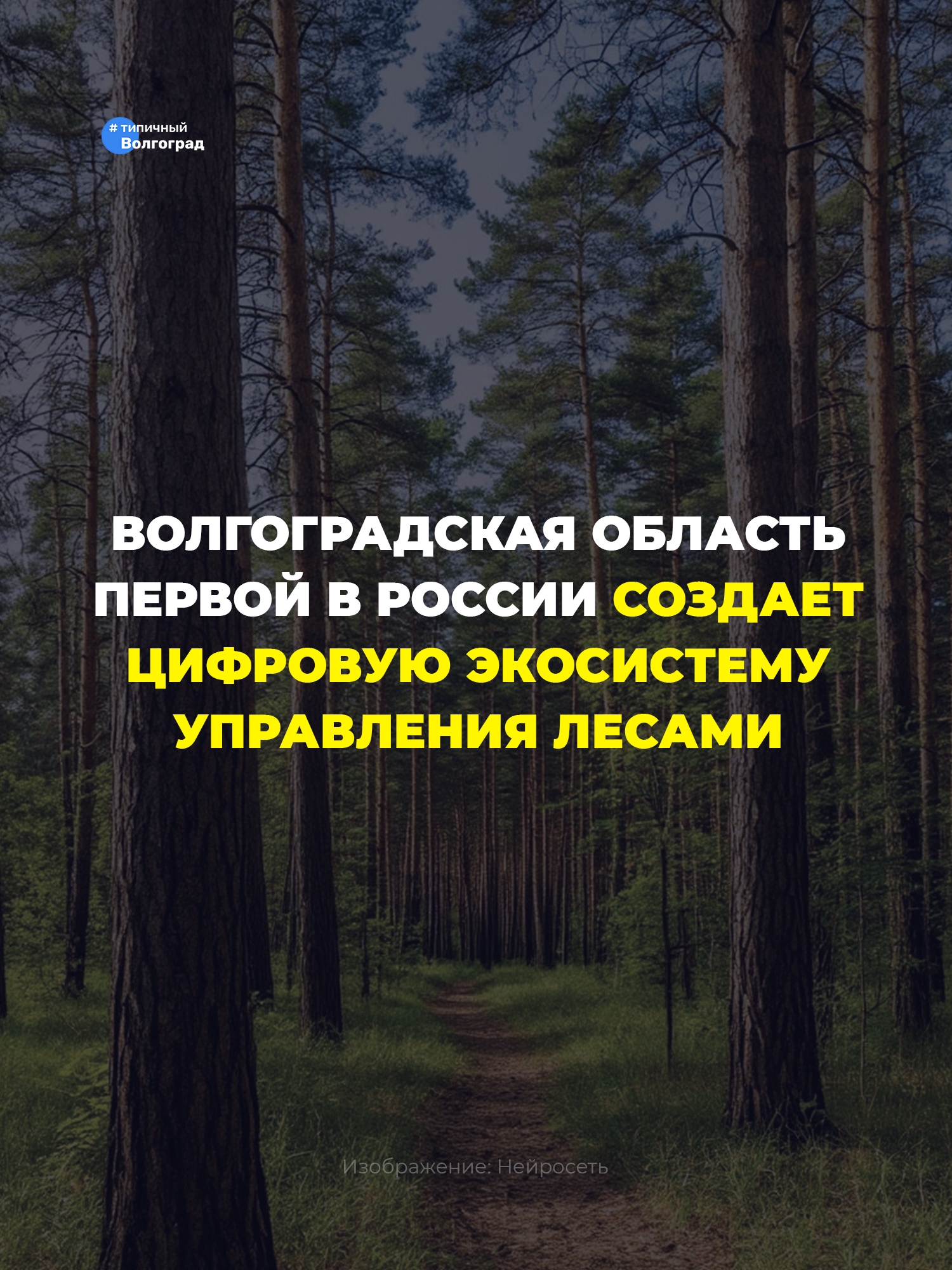 Волгоградская область первой в России создает цифровую экосистему управления лесами! 👏😍