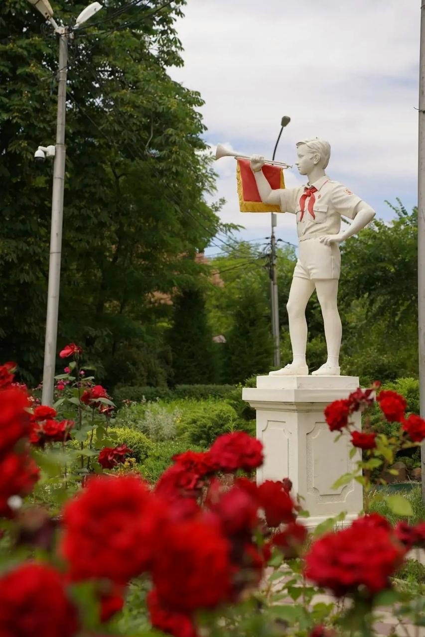 🌹 Розы Волжского — отдельный вид искусства