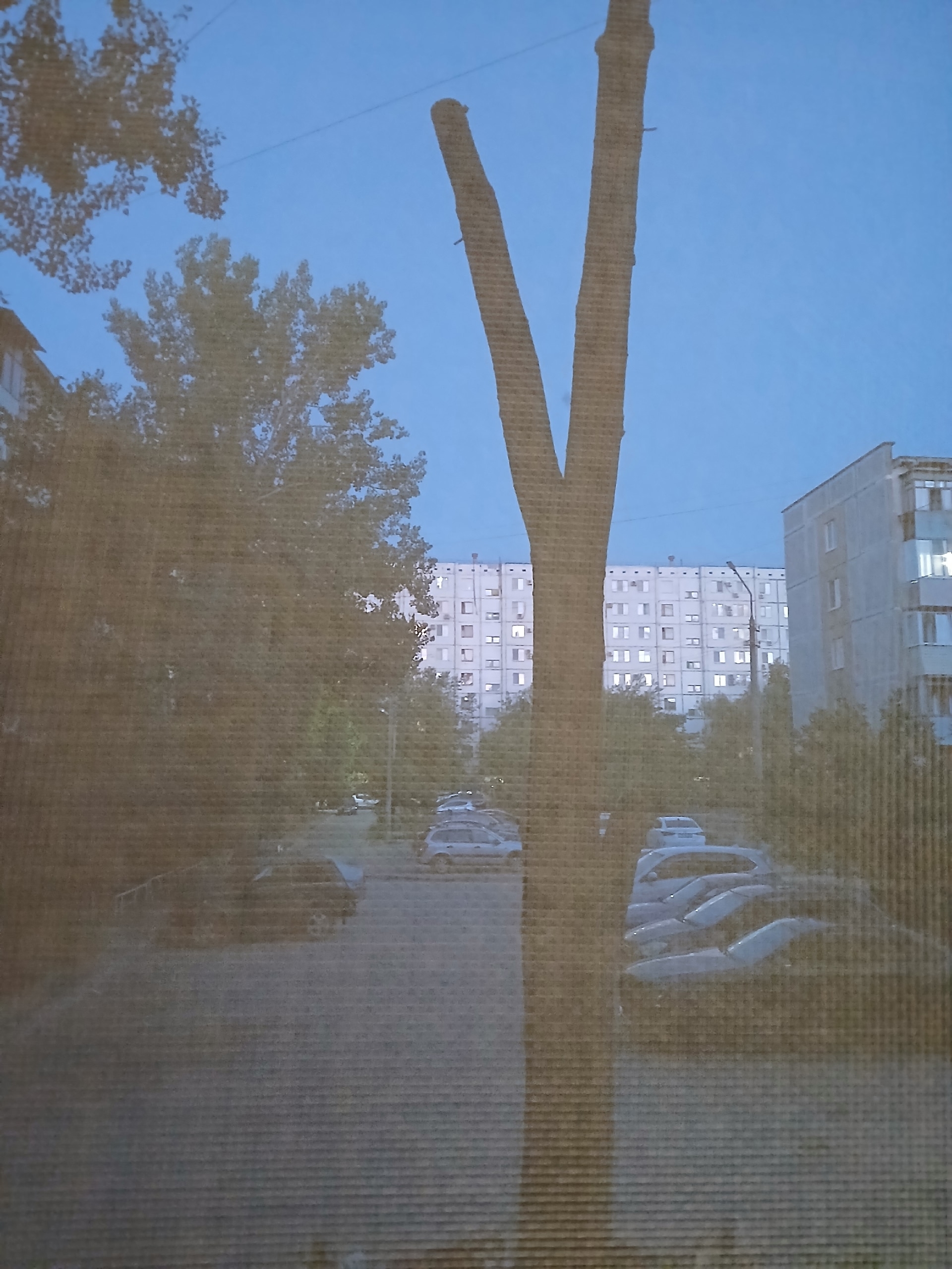 Вот такой порядок навели работники жэу за нашим домом 37 в 30 микрорайоне .Вот таким образом были опилины два больших зелёных тополя  за наш…