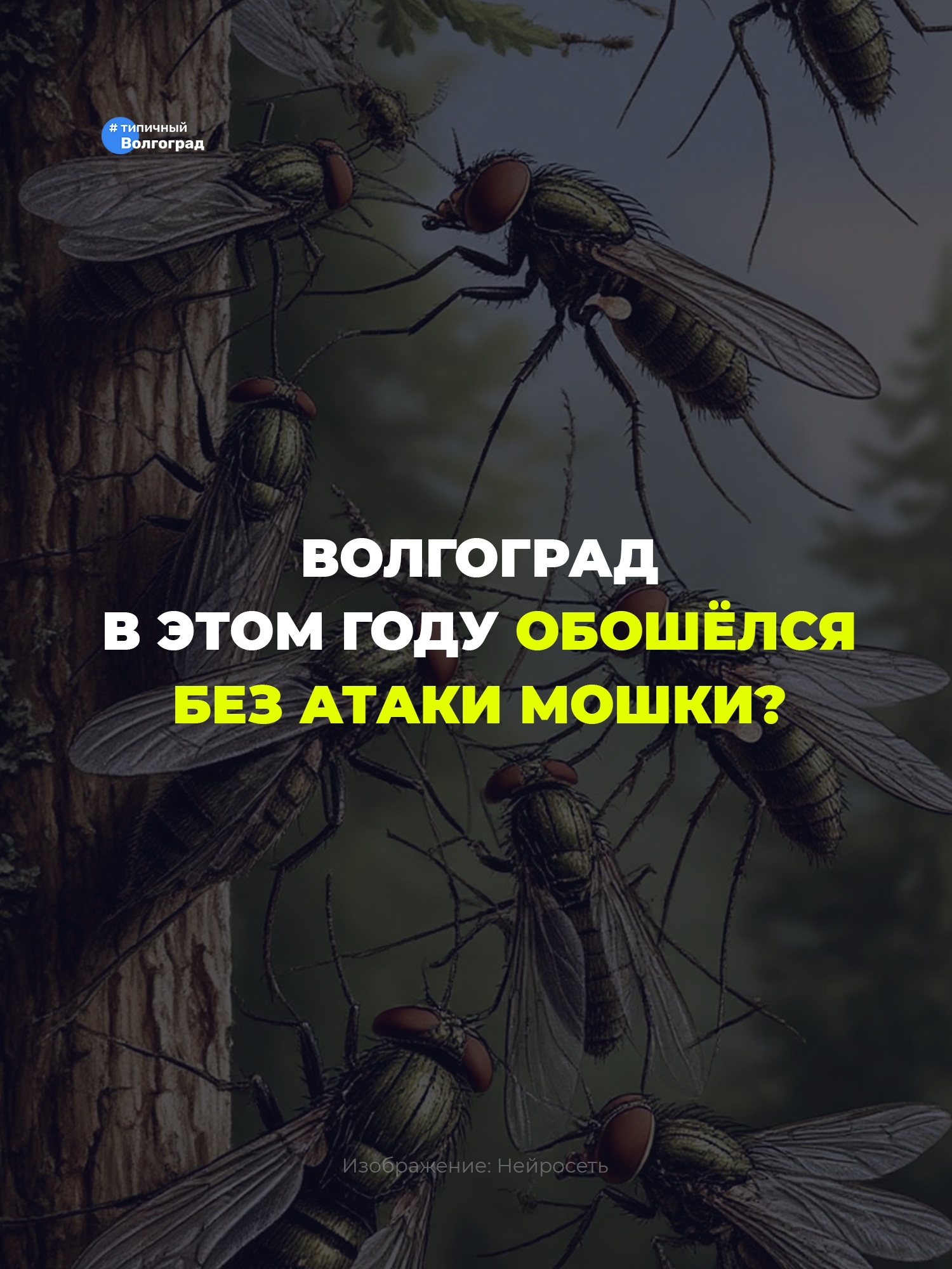 Волгоград в этом году обошёлся без атаки мошки? 👏🤩