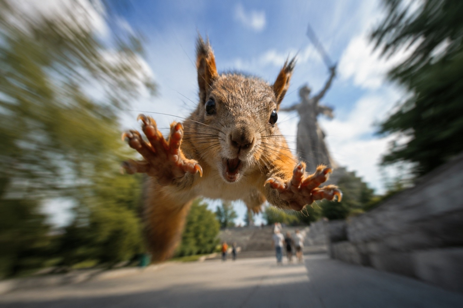 🐿️ Обычная прогулка на Мамаевом кургане закончилась больницей
