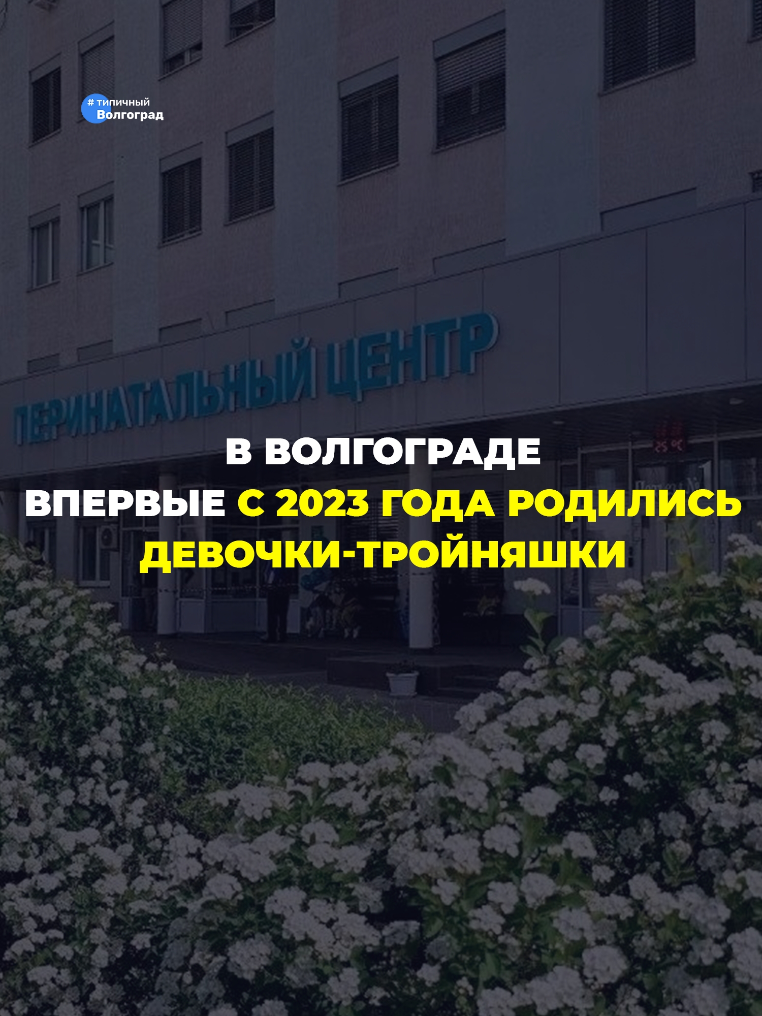«Счастье в кубе!»: В Волгограде впервые за последние три года родились девочки-тройняшки! 👏😍