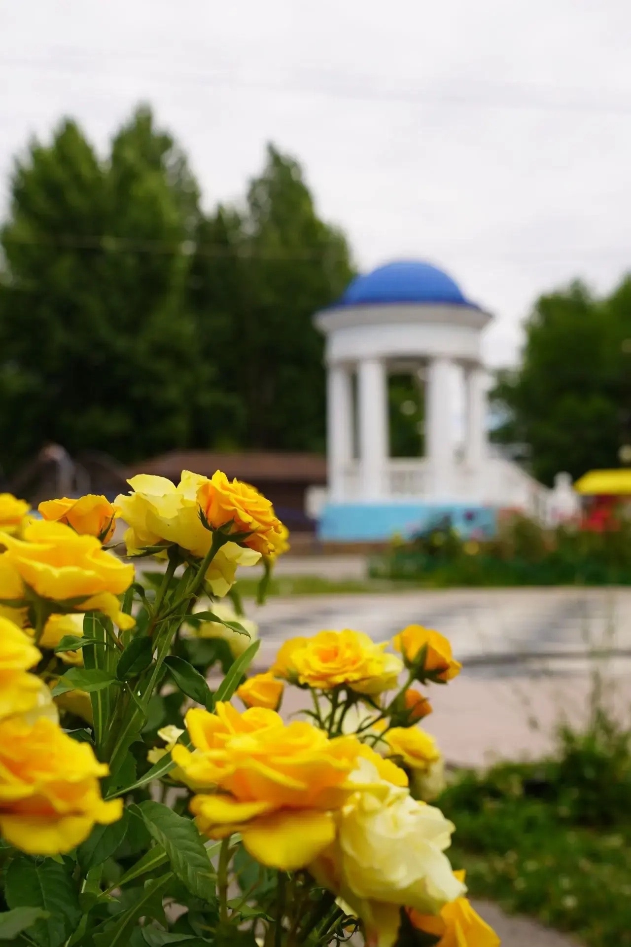А какой цвет настроения вашего лета? 💙❤️💚💛