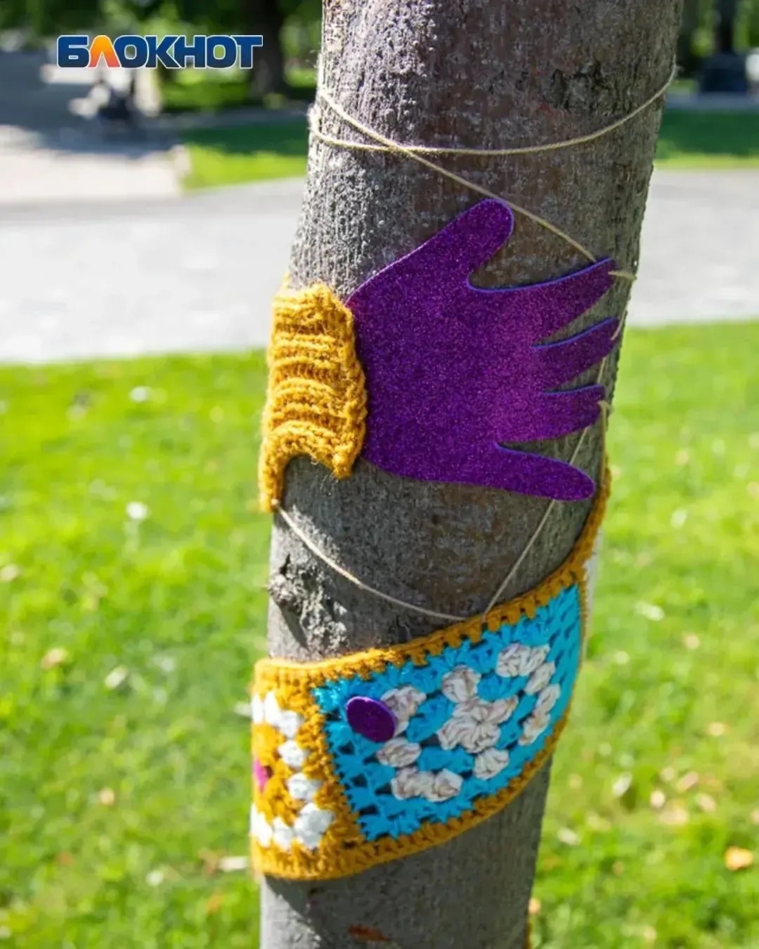 В Волжском мастерицы украсили деревья вязаным граффити 🧶