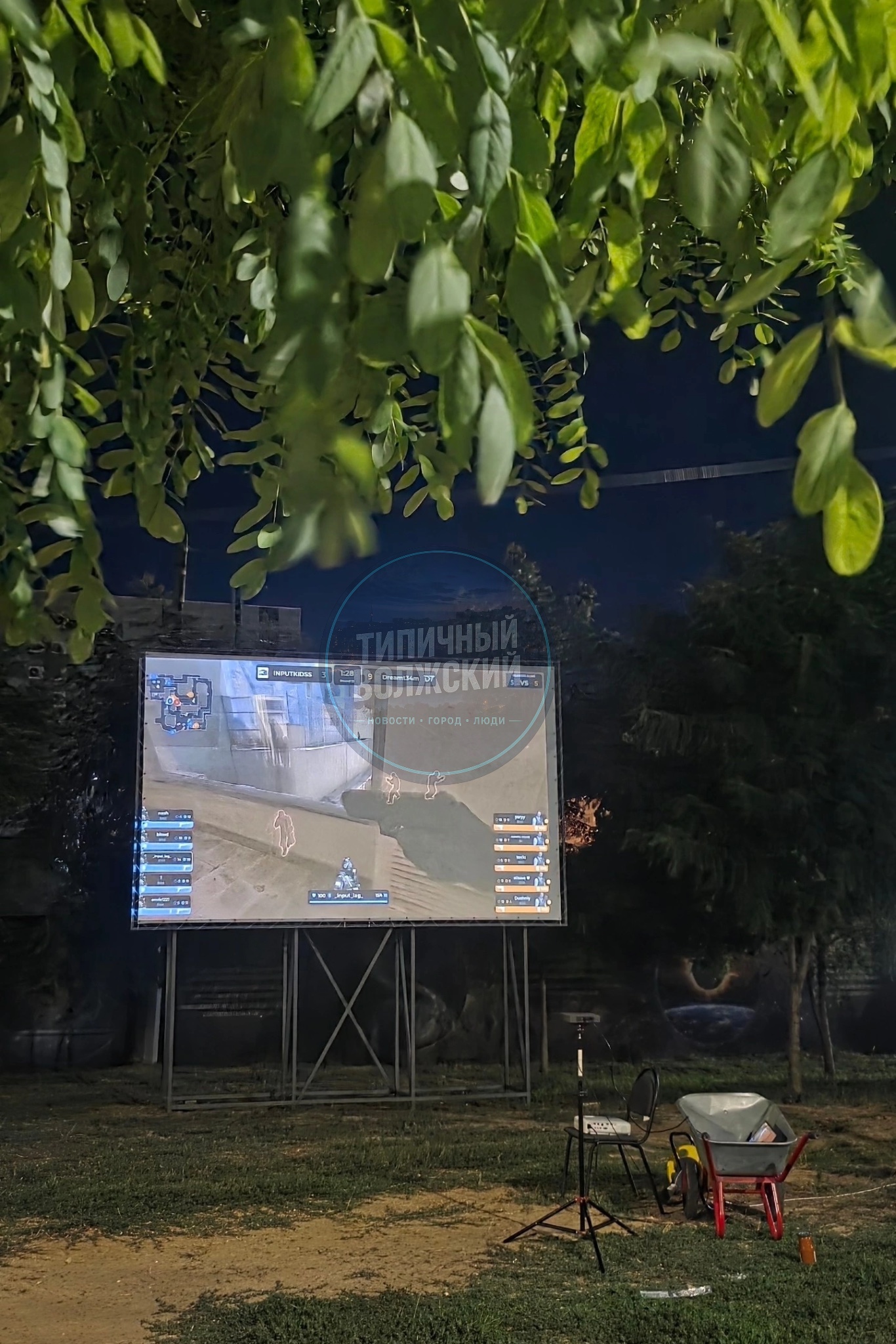 🎬 В Волжском открылся бесплатный летний кинотеатр под открытым небом