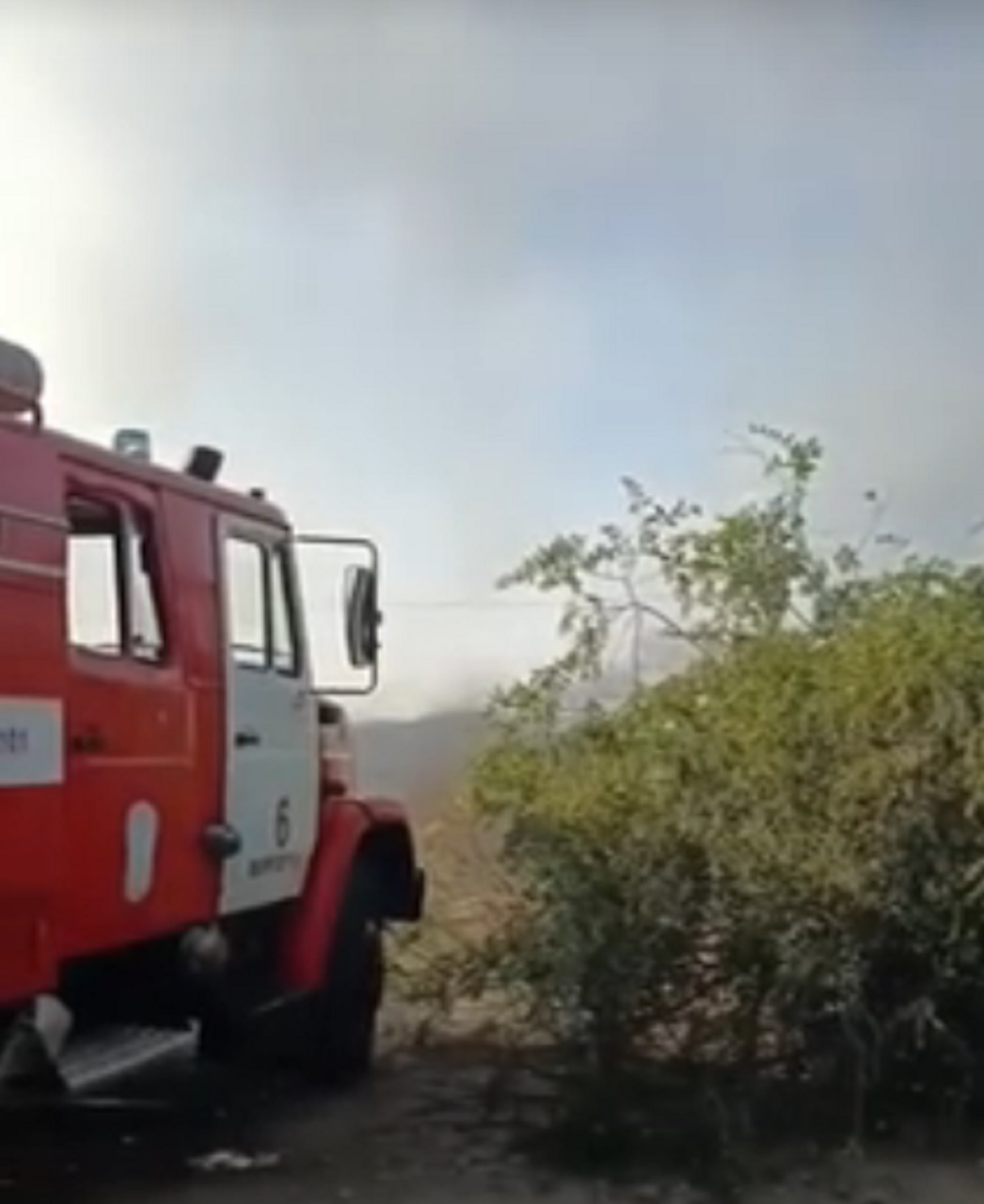 В Волгограде горел собачий приют «Мы в ответе»