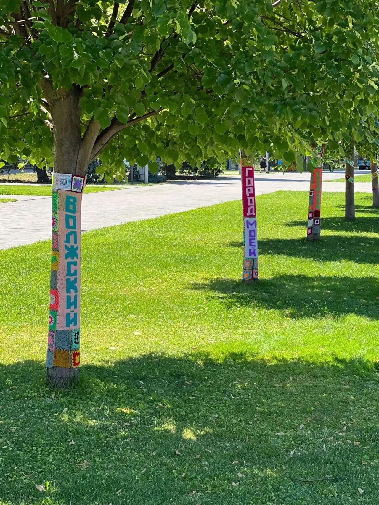 🧶🌳 Участницы клуба «28 петель» ко Дню города украсили 12 деревьев в парке «Волжский»