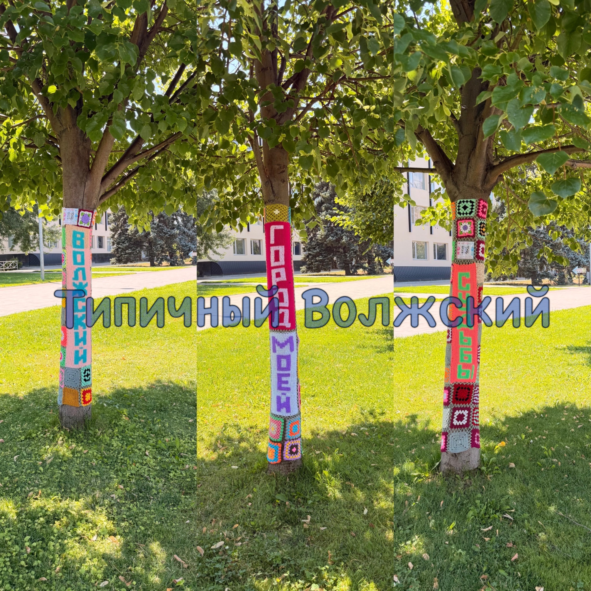 🌳 Ко Дню города в парке «Волжский» украсили 12 деревьев вязаными полотнами
