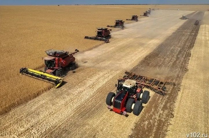 Банк России спрогнозировал богатый урожай в Волгоградской области