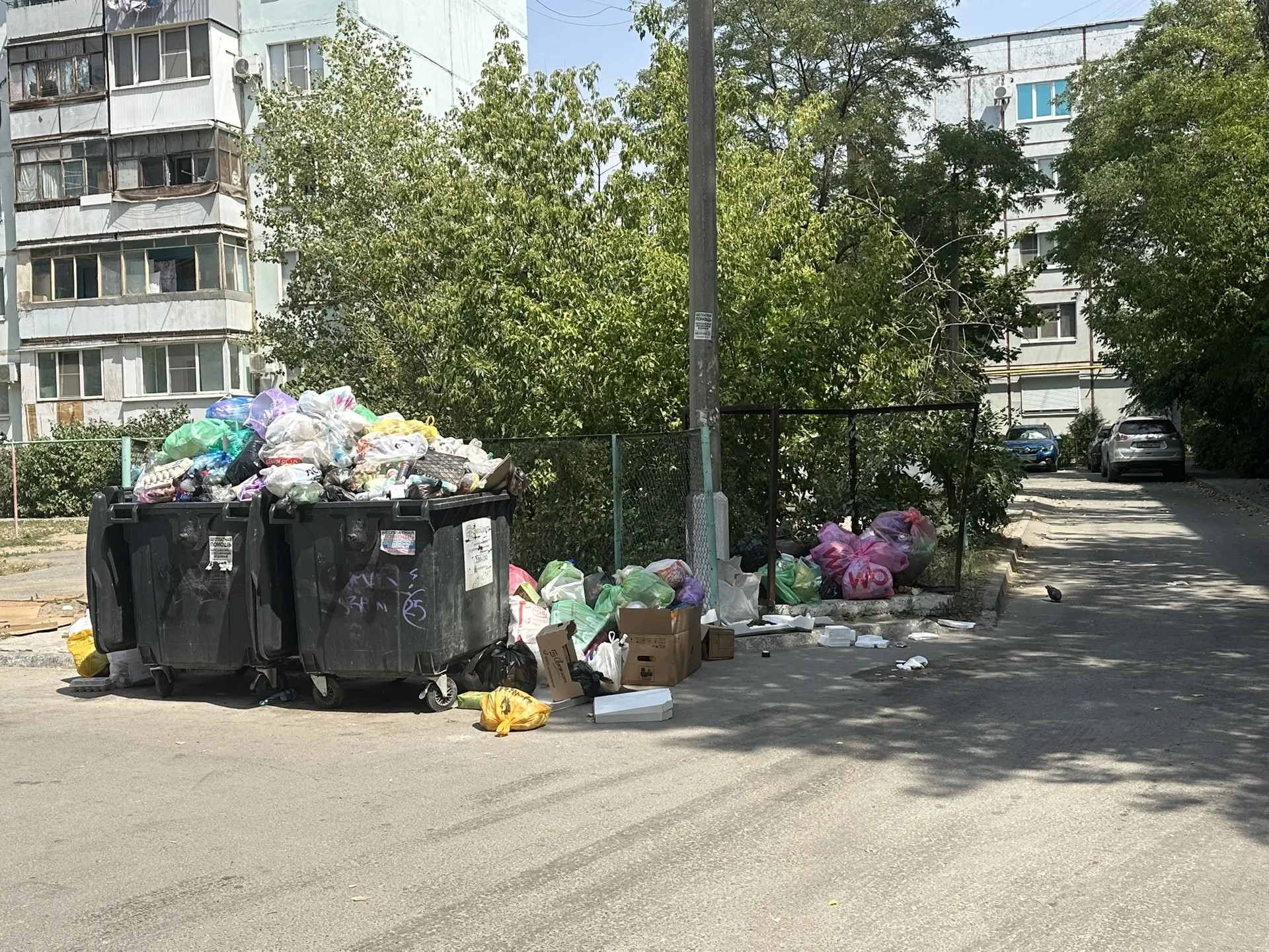 За что мы платим?! Волжане обеспокоены завалами мусора на контейнерных площадках