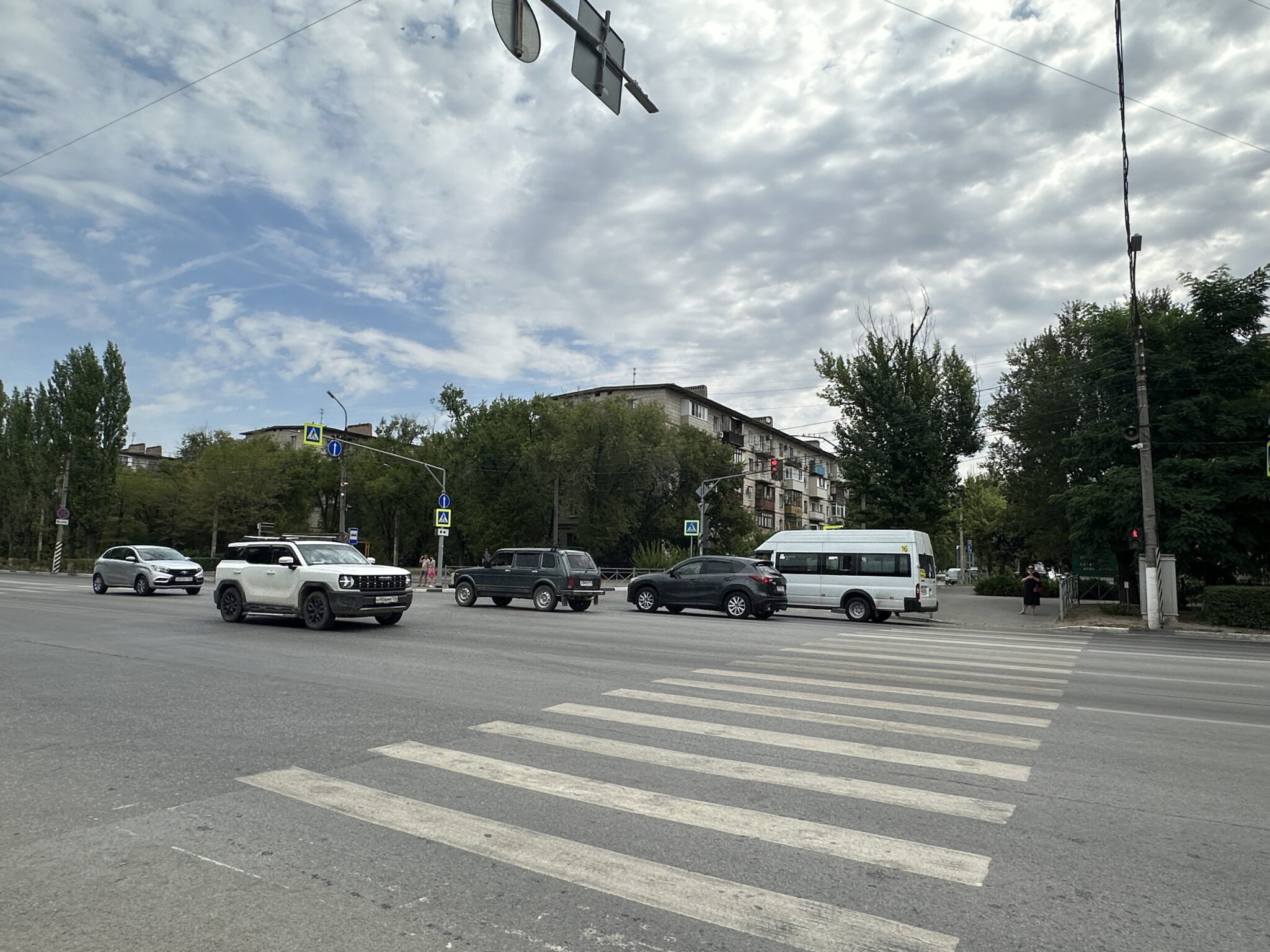 Волжане говорили о воробьях-альбиносах и о зебрах наискосок