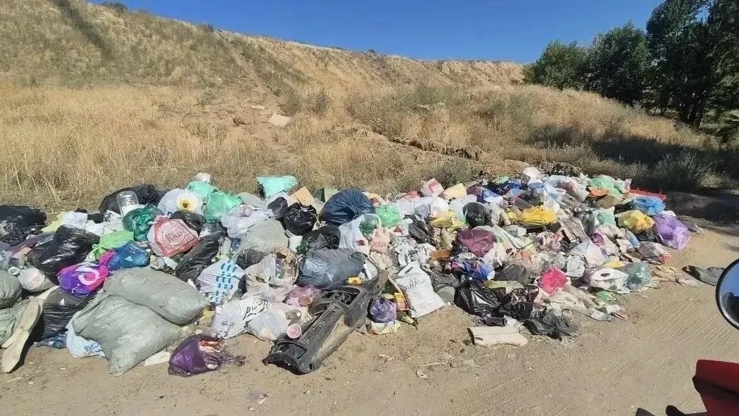 Волжане развели свинство на Козьем пляже