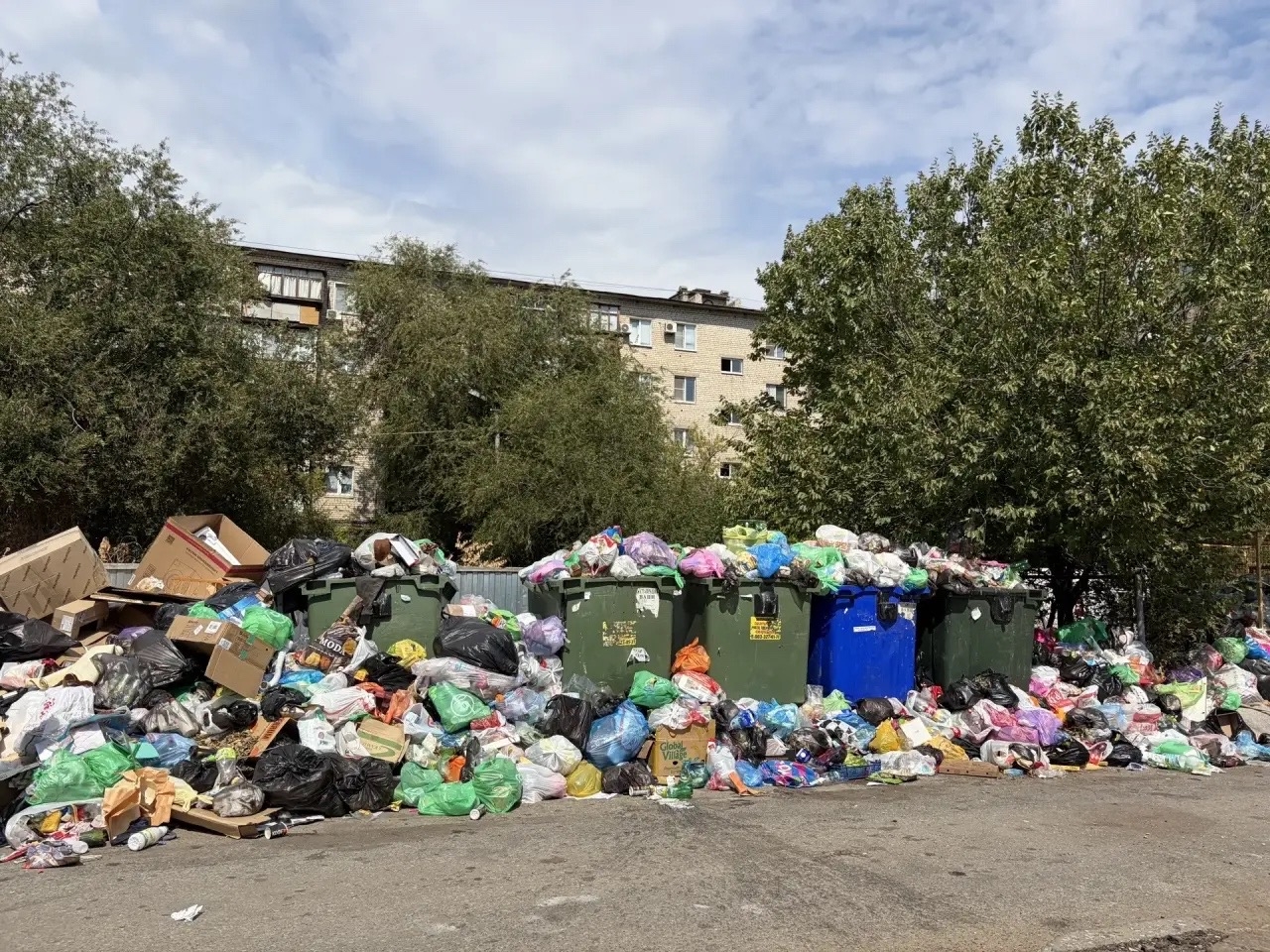 Наша предложка разрывается от ваших фото переполненных мусорных контейнеров!