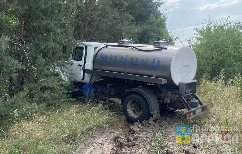 В Волгоградской области водитель молоковоза врезался в сосну и погиб