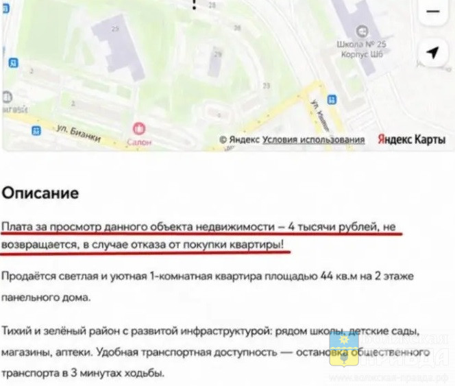 Волжан предупредили о риэлторах, которые берут деньги за осмотр квартир
