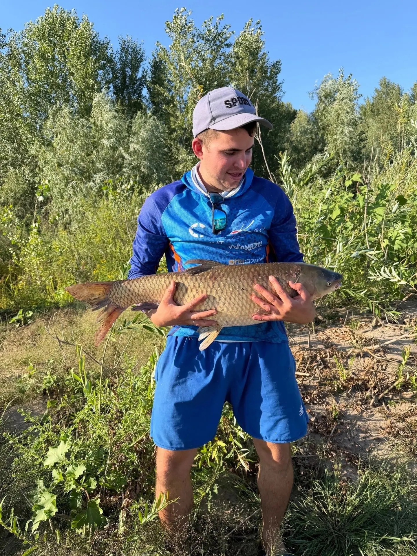 🎣 Почти 8 кг: волгоградский рыбак поймал огромного белого амура