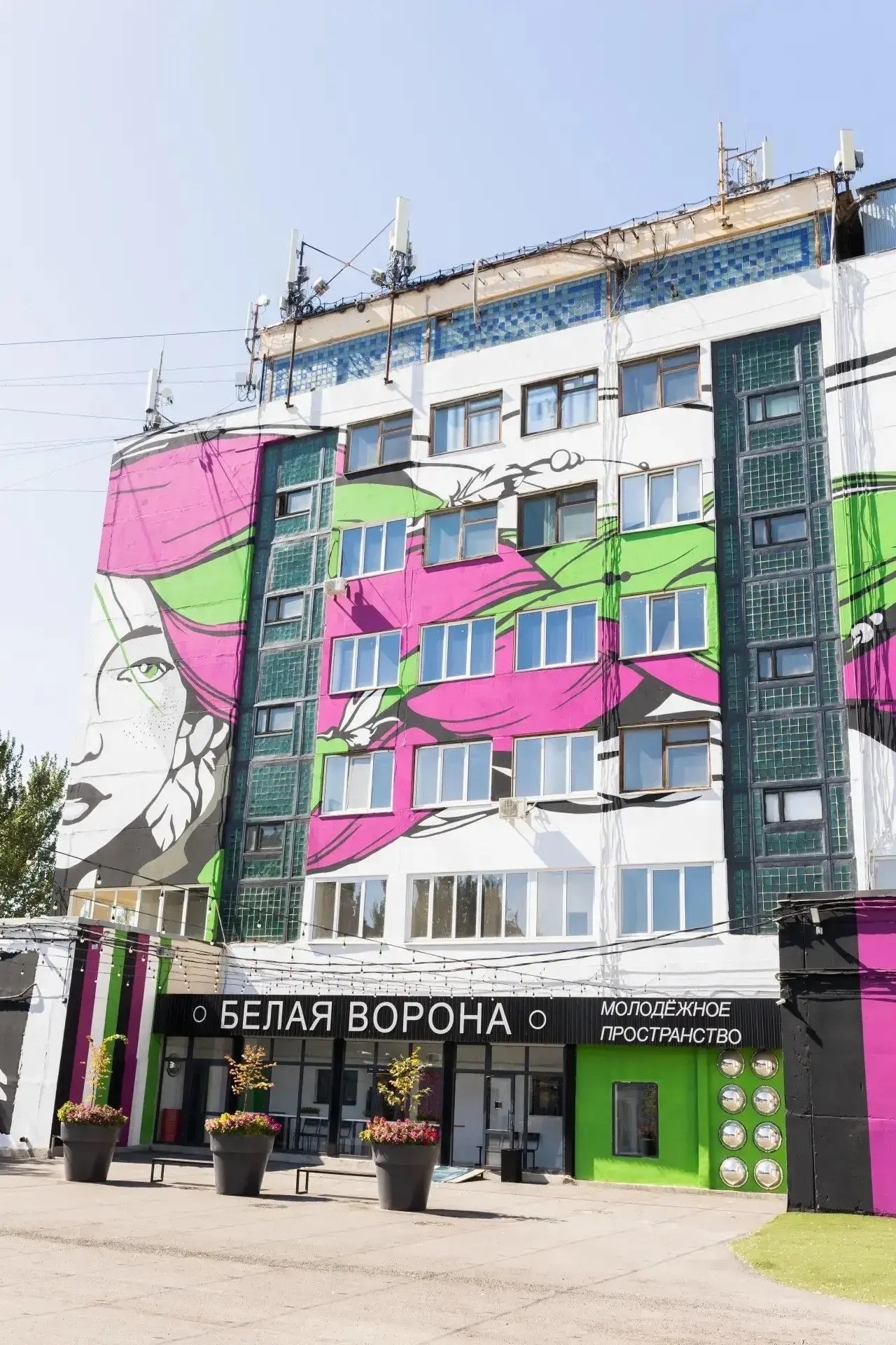 🏆 Волжская «Белая ворона» признана лучшим молодёжным проектом инициативного бюджетирования в России