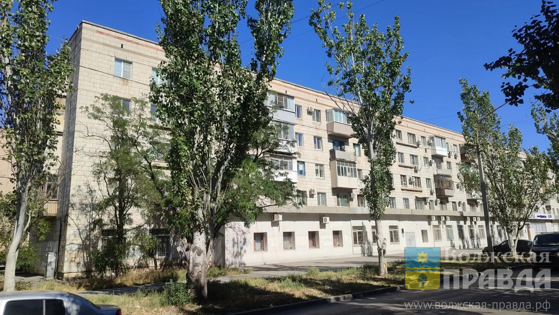 Волжан возмутили пернатый труп и турникет для карликов