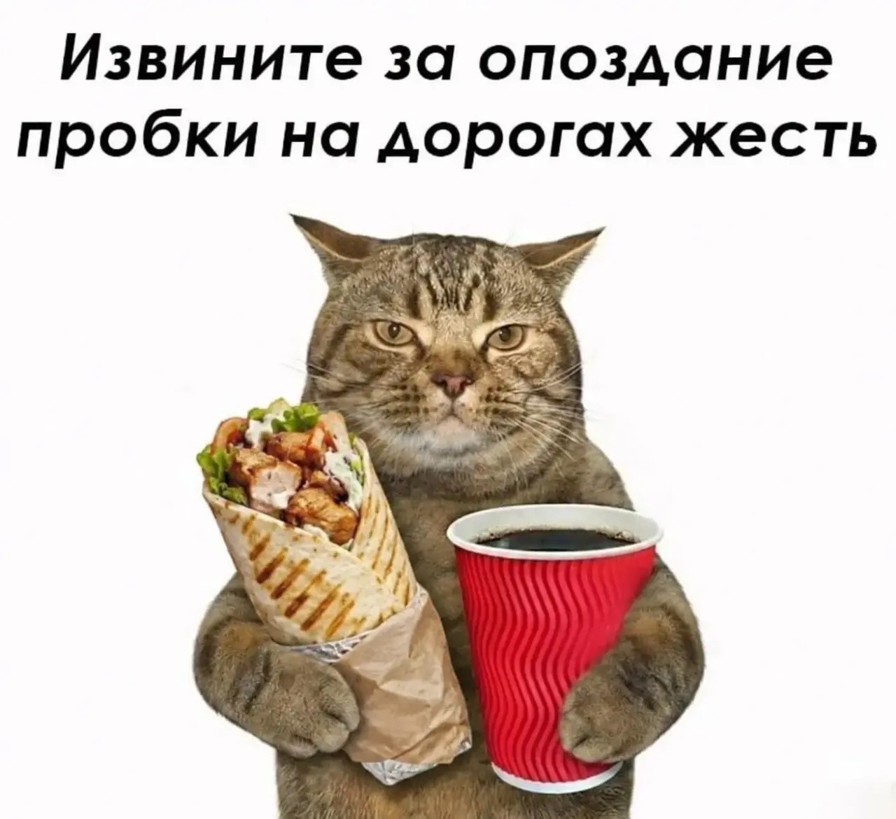 🎉Сегодня отмечается День опозданий — праздник, когда задержаться куда угодно можно почти официально.