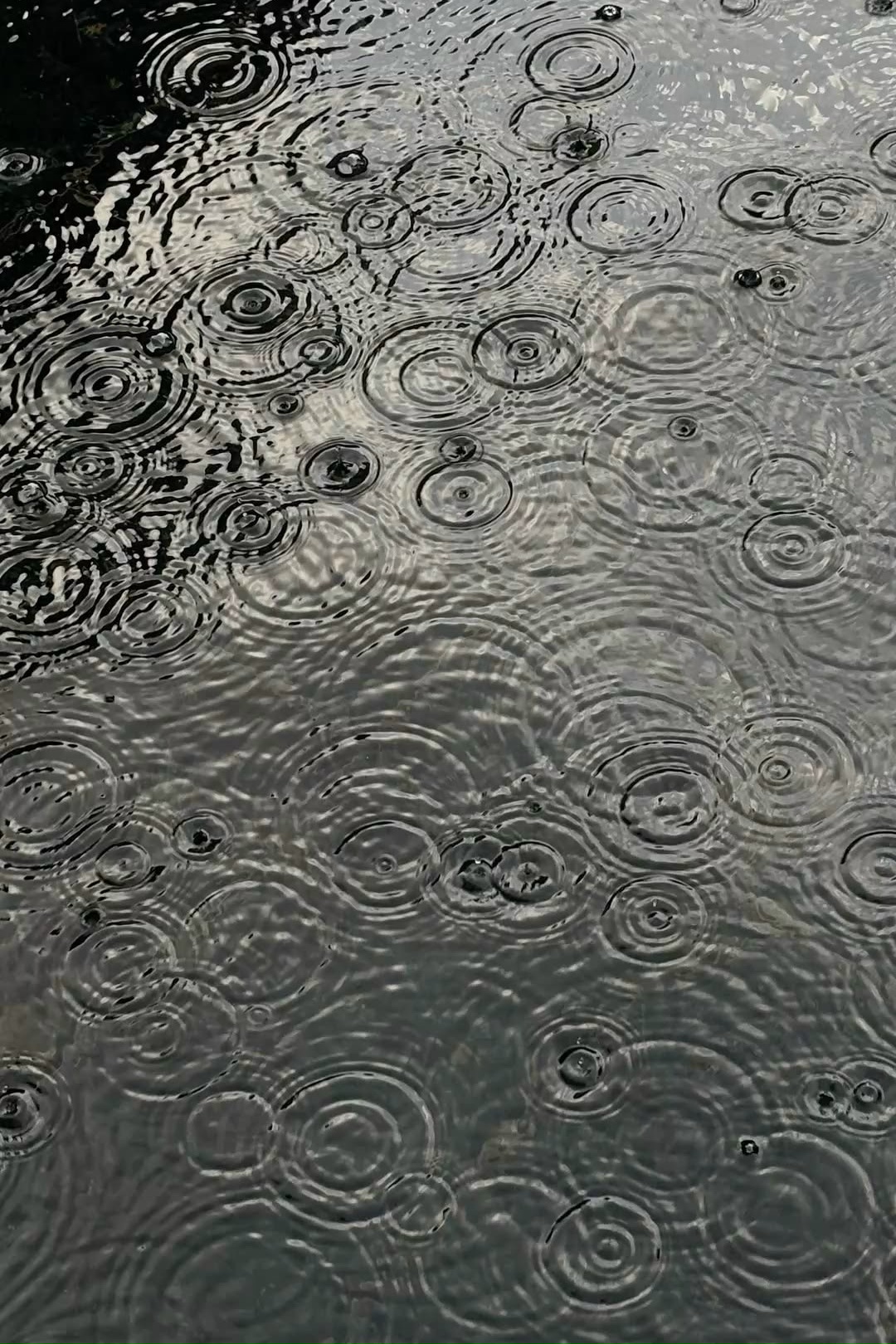 ⛈ Непогода задержится в Волгоградской области