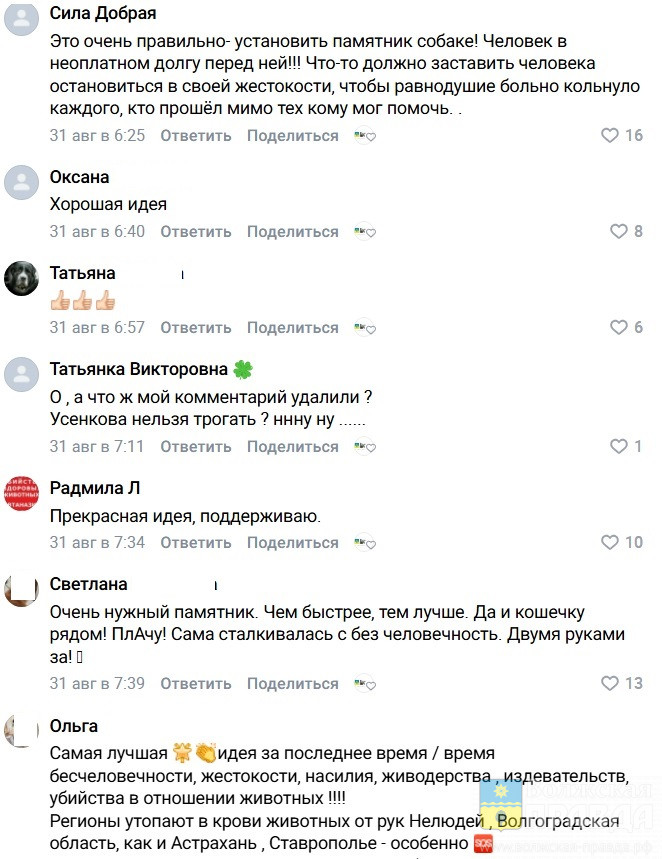 «Вот бы мэр поддержал»: идея памятника погибшей собаке получила мощный отклик волжан