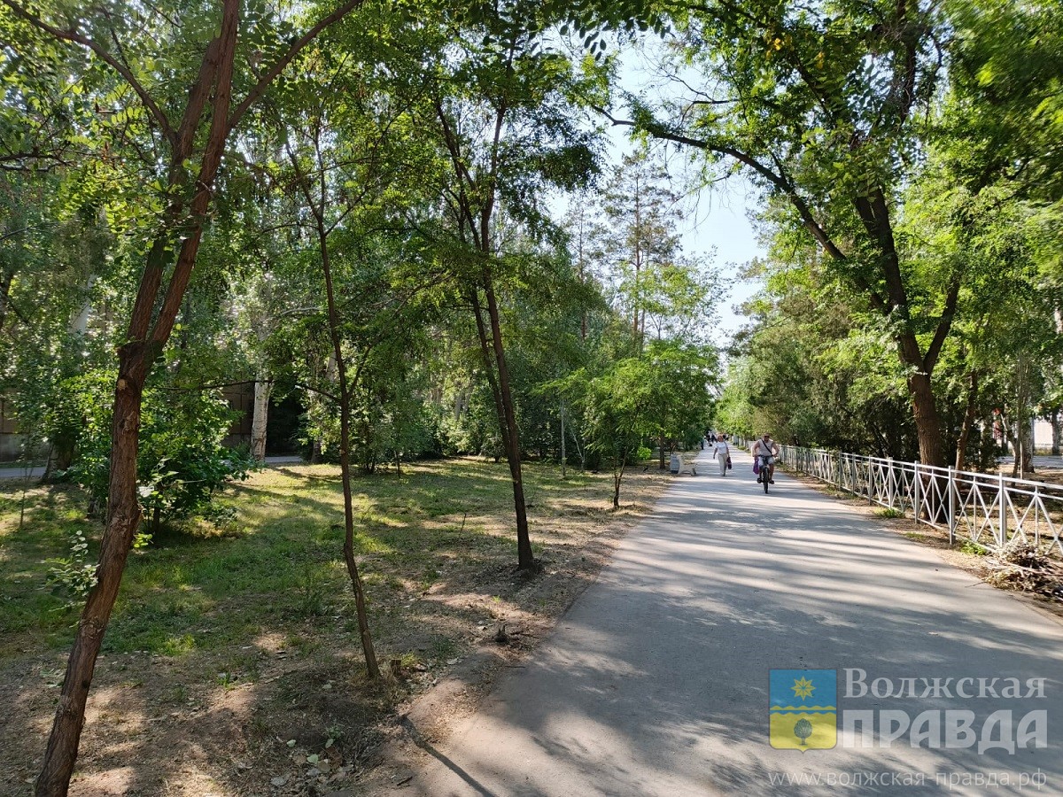 Нам пишут: в Волжском обсуждают новую благоустроенную зону, фальшивую ответственность и низкое социальное участие миллионеров