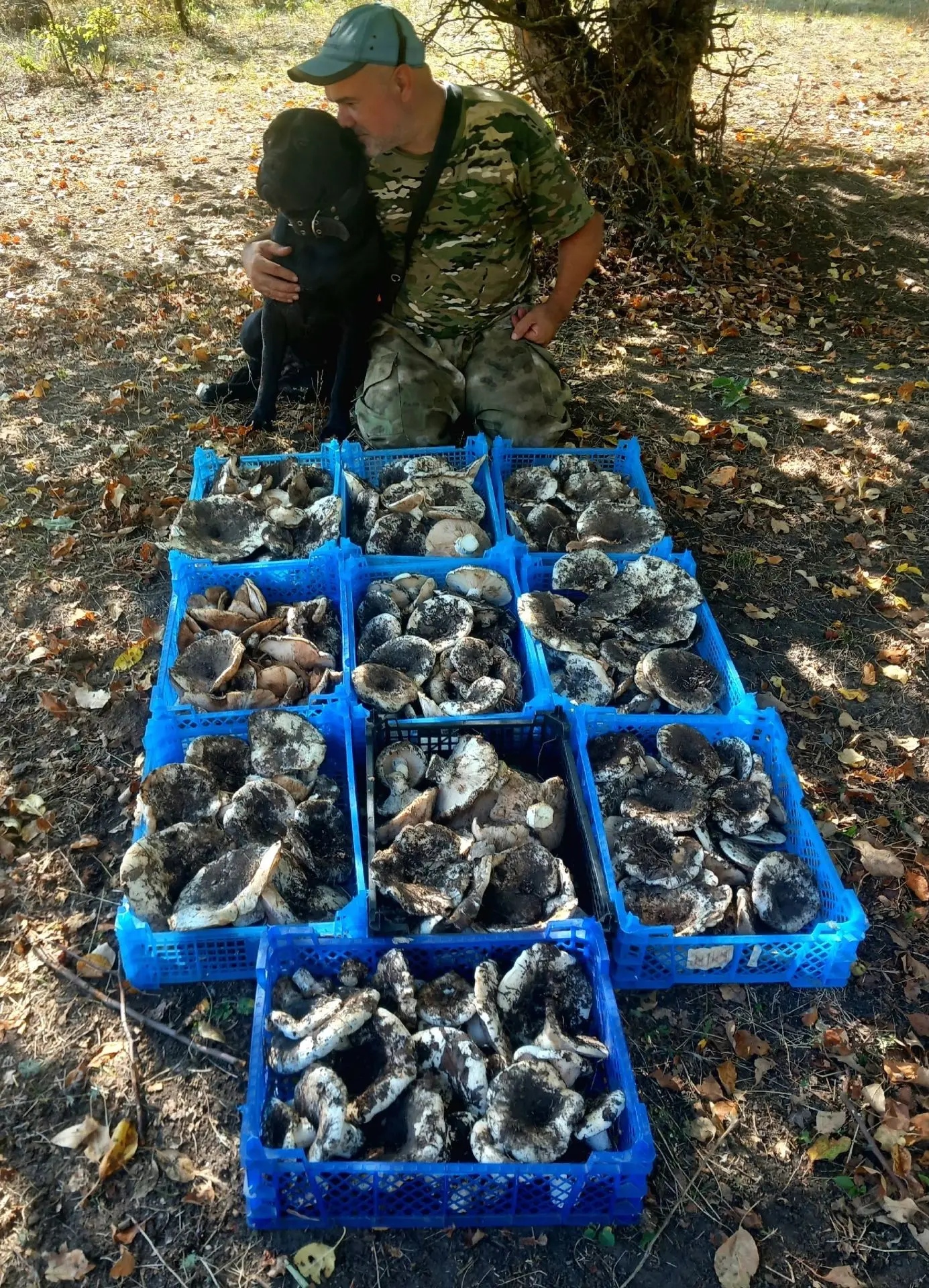 🍄 Вот это грибной улов!