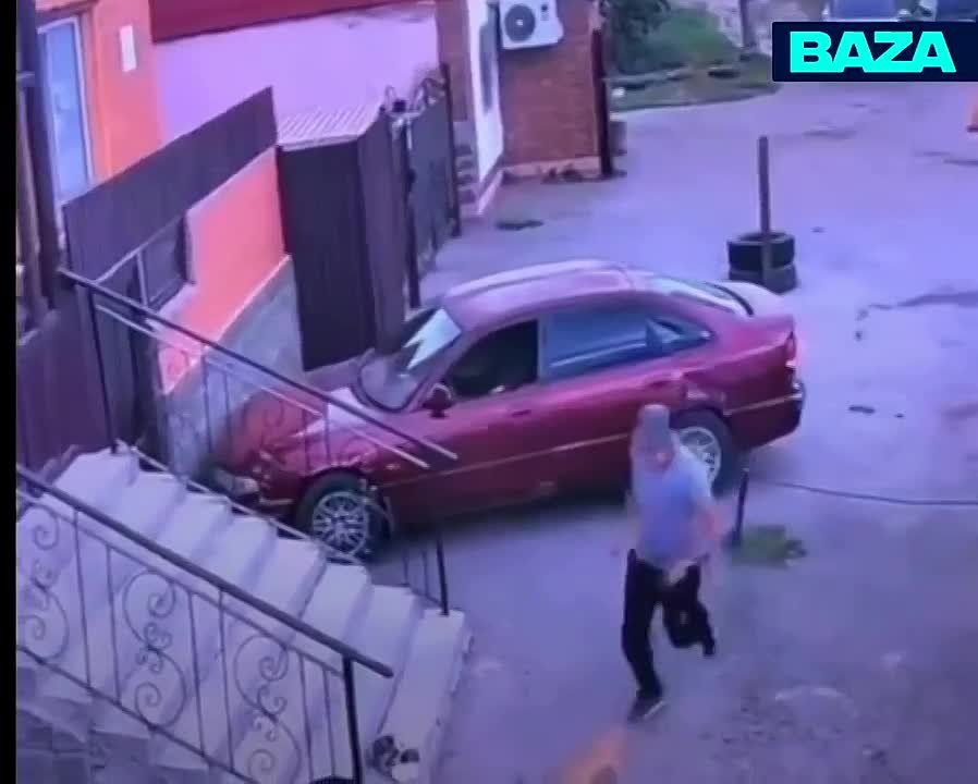 🐈🚗 В Казахстане усатый Шумахер угнал машину и протаранил забор.