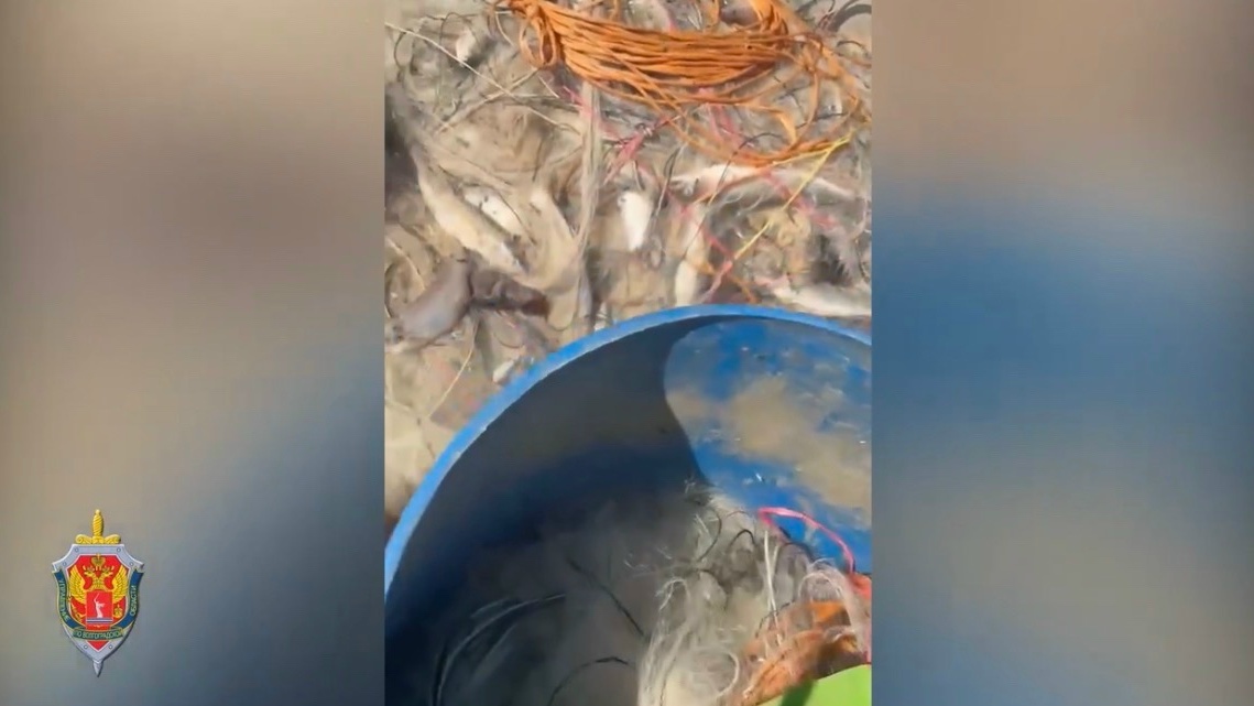 🎣Дело о незаконном вылове рыб направили в суд