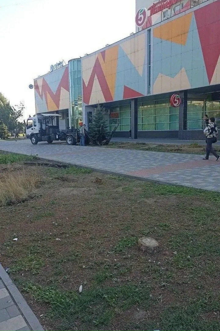 🌲Подписчики, видим ваше беспокойство из-за работ возле ЦУМа!