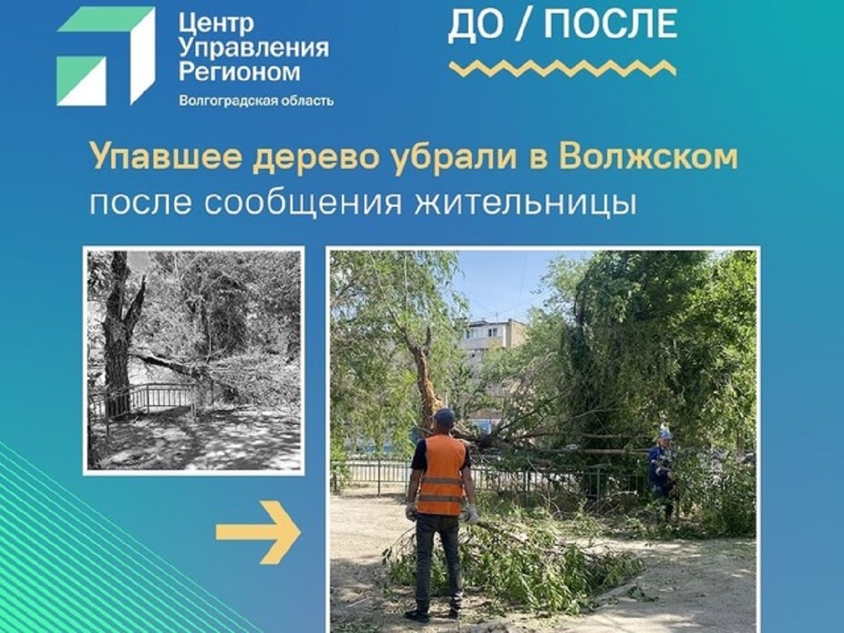 Цифровые площадки органов власти Волгоградской области поддержали почти 4 миллиона подписчиков