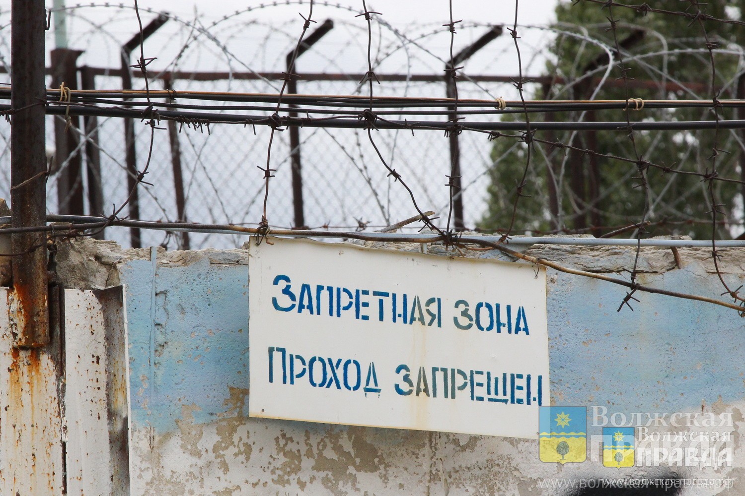 Жительница Волжского хотела передать в колонию конфеты с метадоном